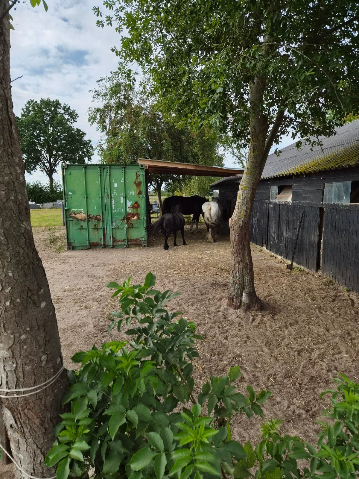 stal container  2 stallen met tussen wand., Ophalen, Gebruikt