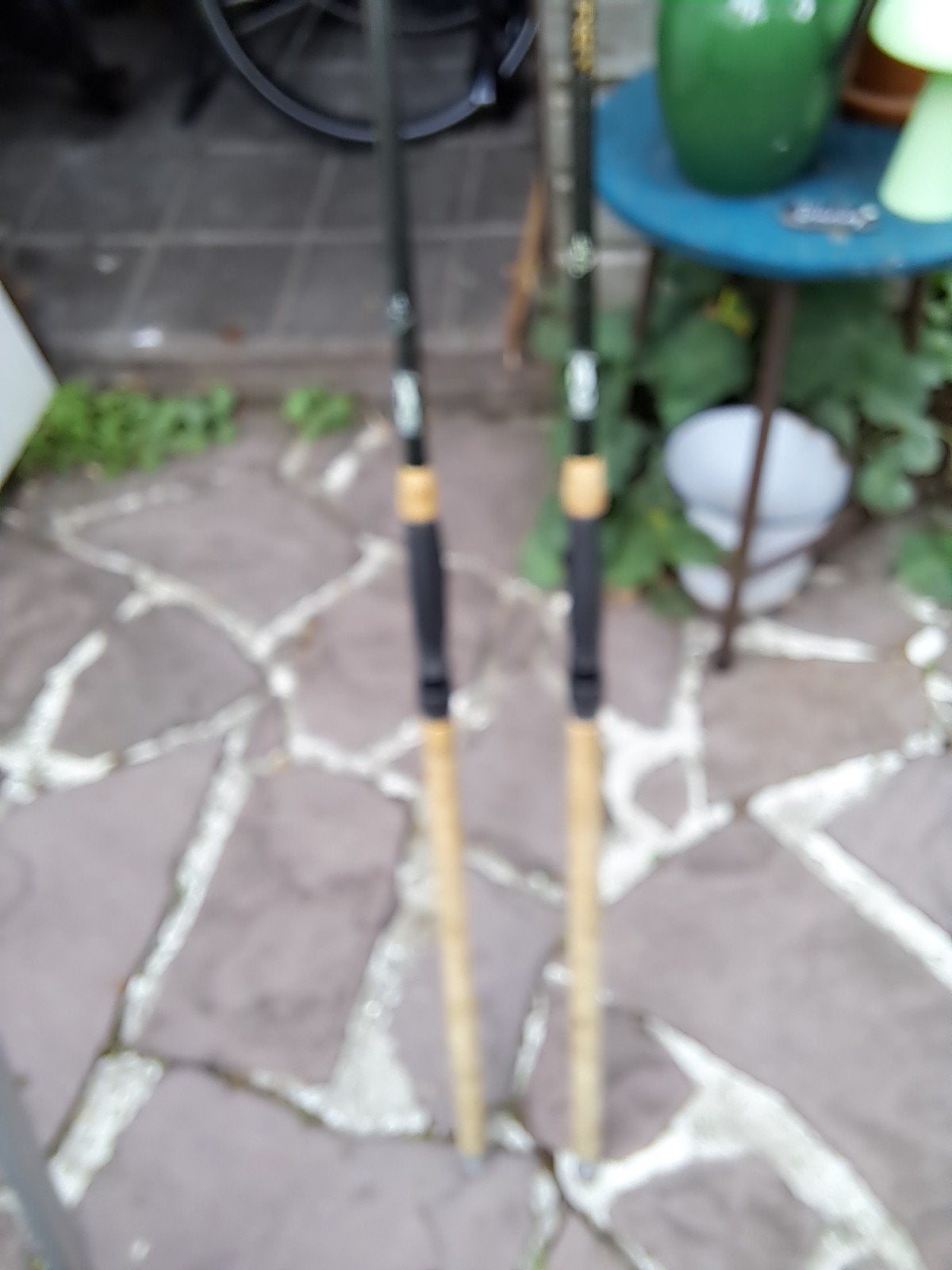 te koop karper  2xhengels, Ophalen, Gebruikt