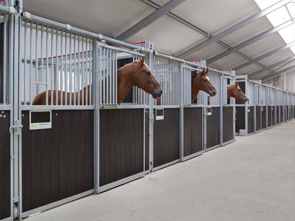 Veilige voorwanden uit voorraad – Eigen productie in NL, Stalling, 1 paard of pony