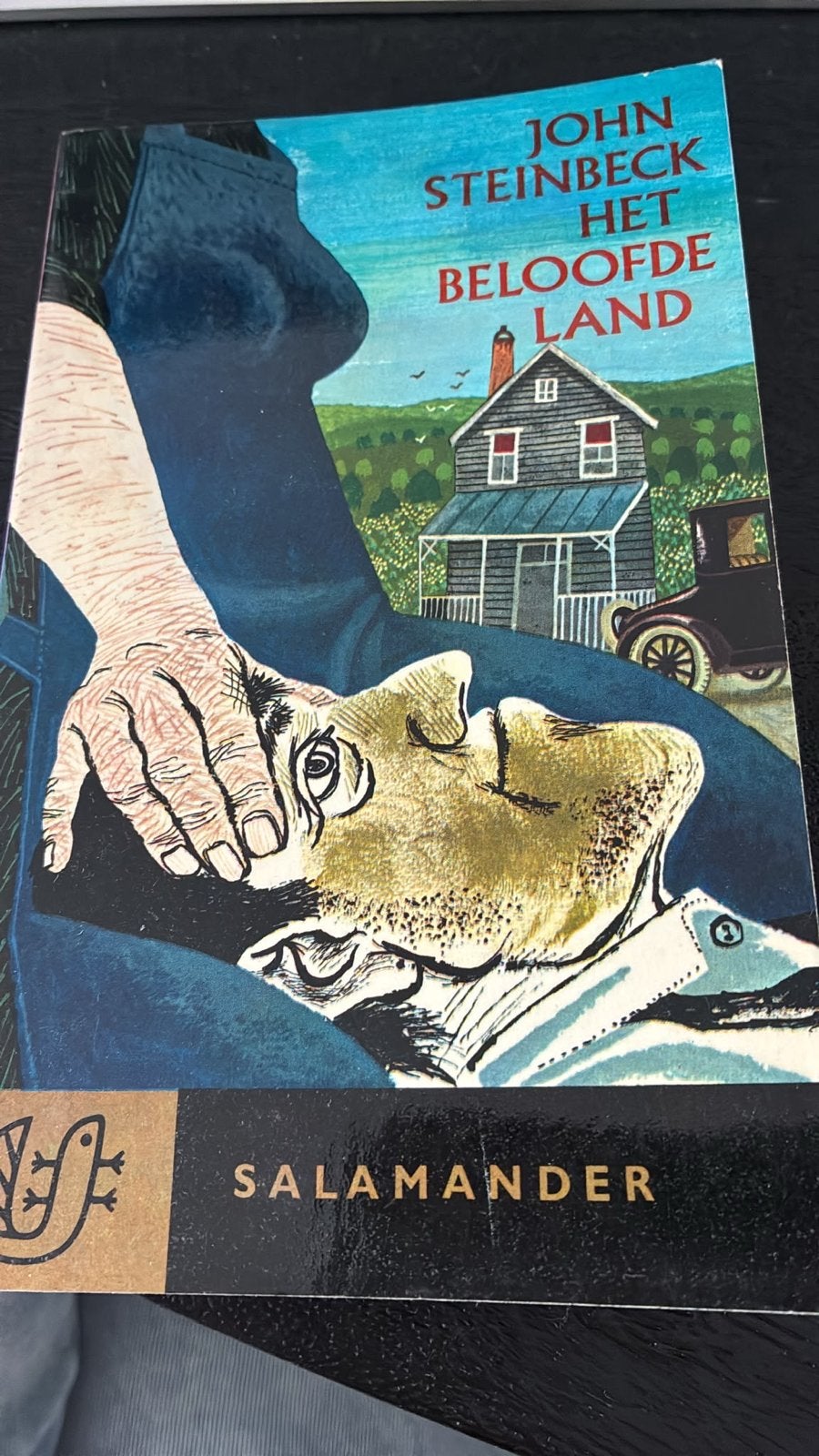 John Steinbeck - Het Beloofde Land (Salamander), Ophalen of Verzenden, Gelezen, Amerika