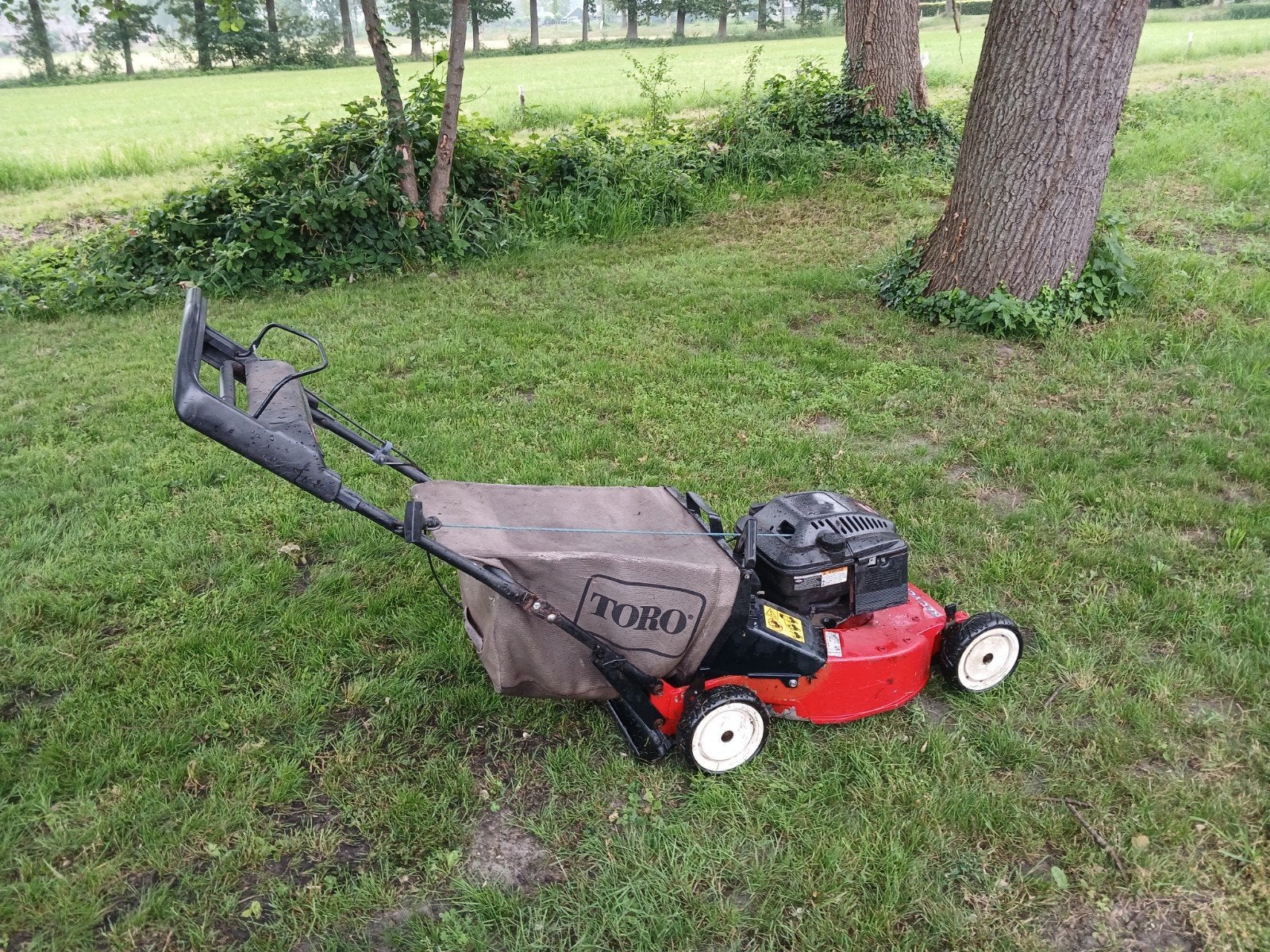 Toro grasmaaier, Ophalen, Cirkelmaaier, Gebruikt, Toro