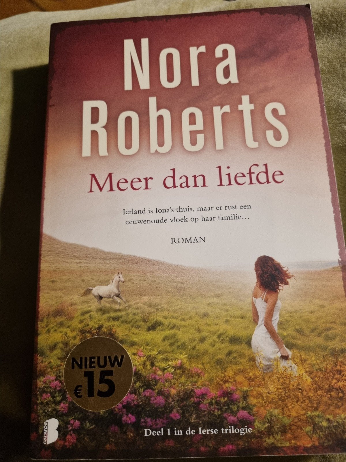 Nora Roberts - Meer dan liefde, Ophalen of Verzenden, Zo goed als nieuw, Nora Roberts