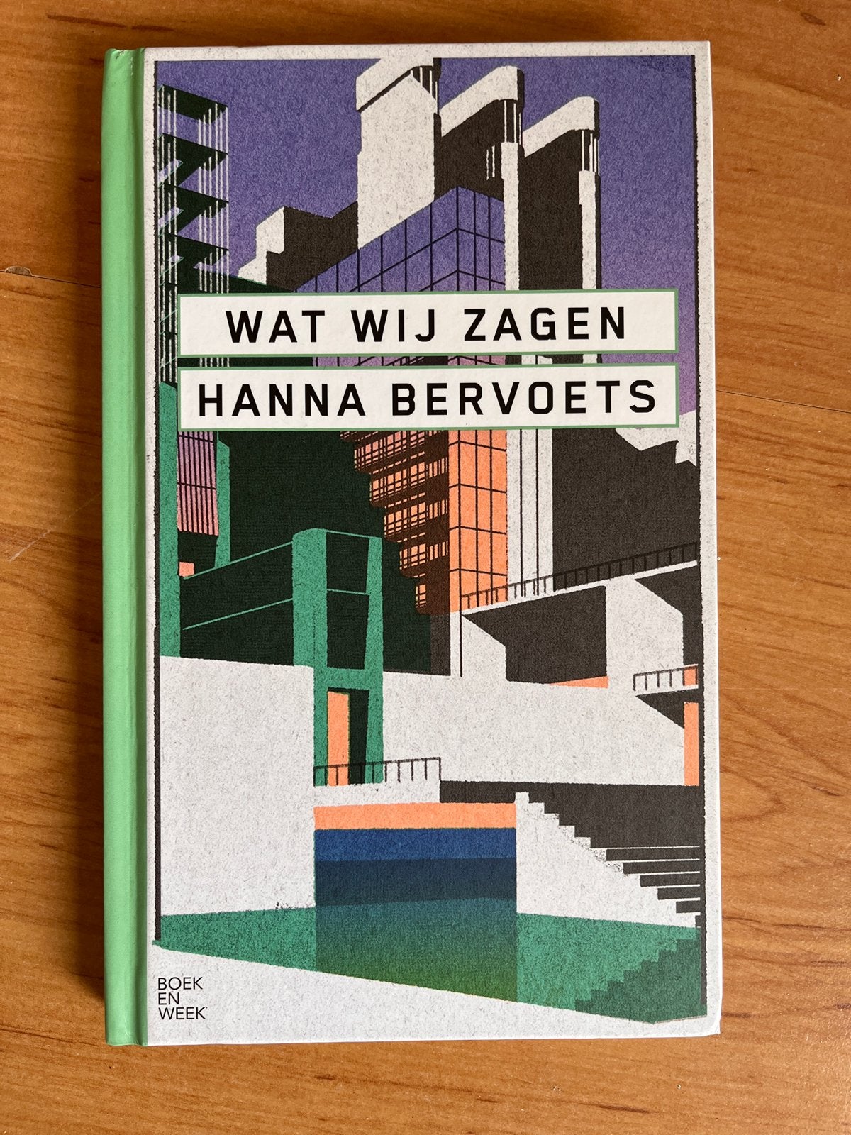 Wat Wij Zagen - Hanna Bervoets (Boek), Boeken, Ophalen of Verzenden, Zo goed als nieuw, Nederland