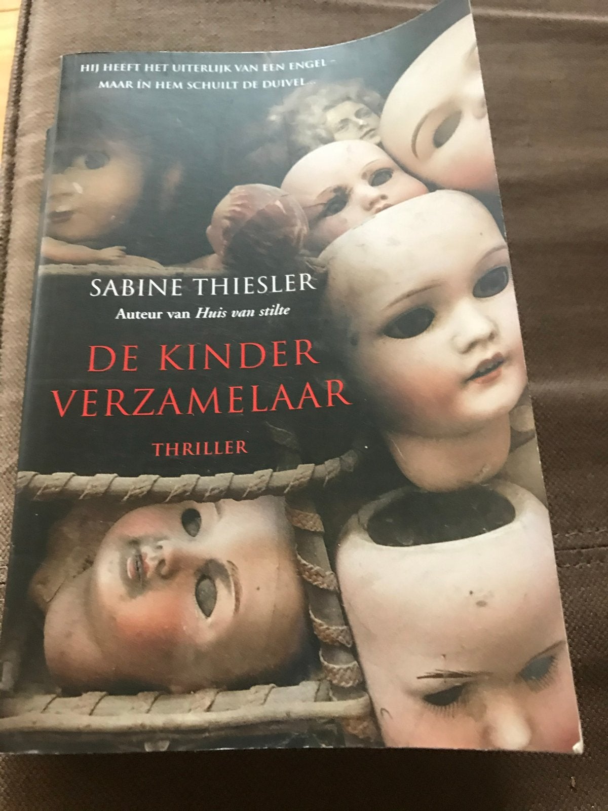 De Kinderverzamelaar - Sabine Thiesler (Thriller), Boeken, Ophalen of Verzenden, Zo goed als nieuw