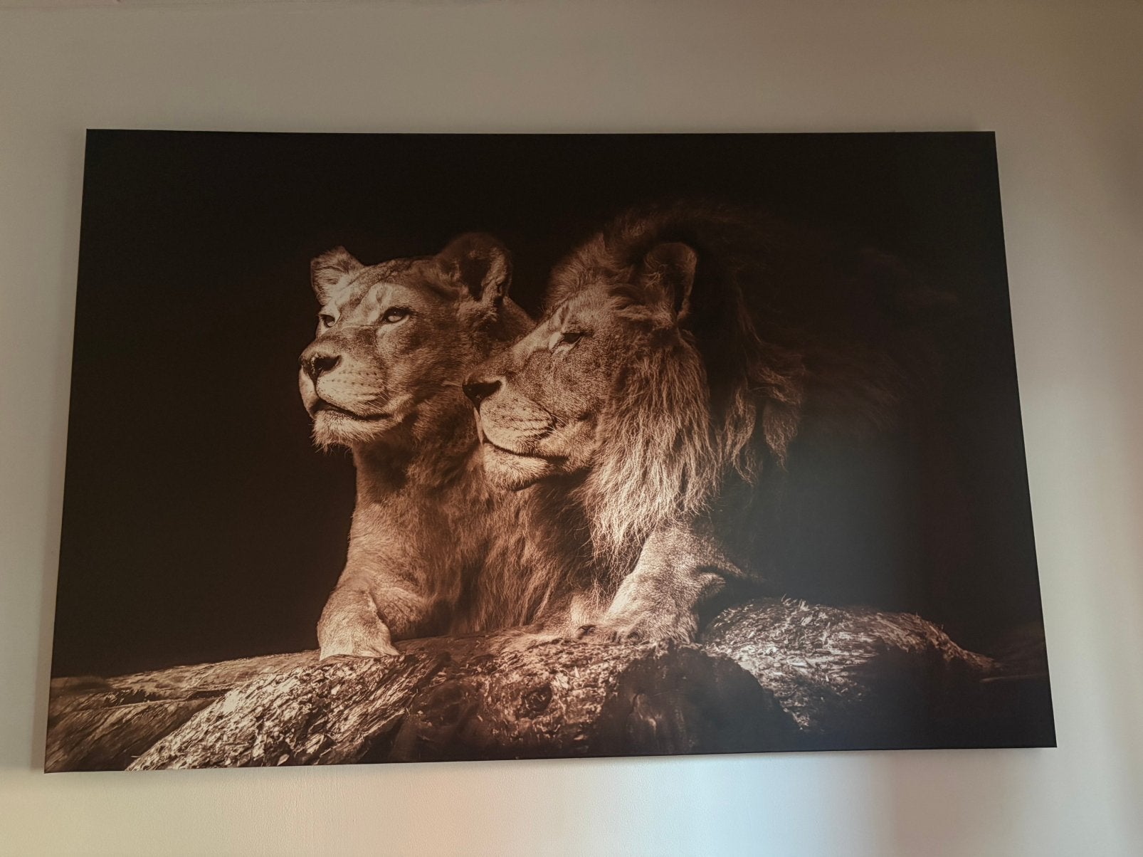 Poster leeuwen, muurdecoratie, Huis en Inrichting, Ophalen, 125 cm of meer, Zo goed als nieuw, Foto of Poster