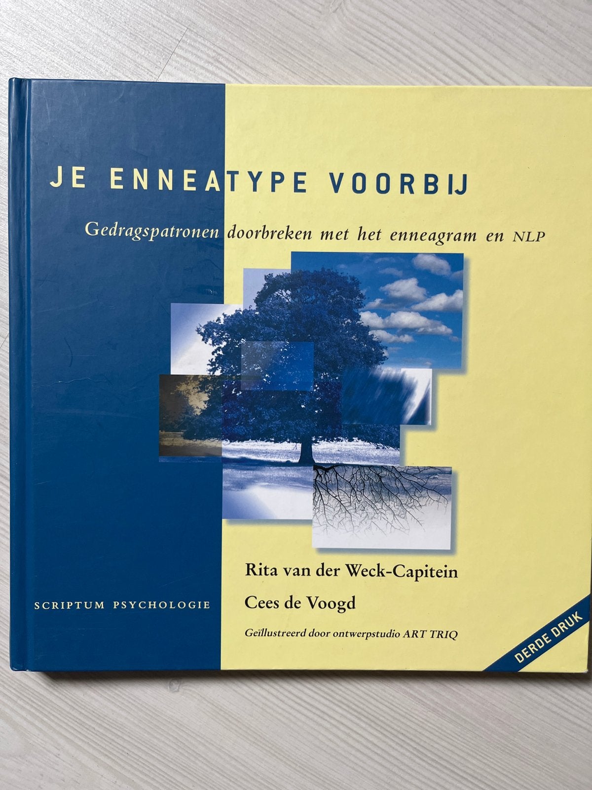 Je Enneatype Voorbij - Gedragspatronen doorbreken, Boeken, Ophalen of Verzenden, Gelezen, Overige onderwerpen