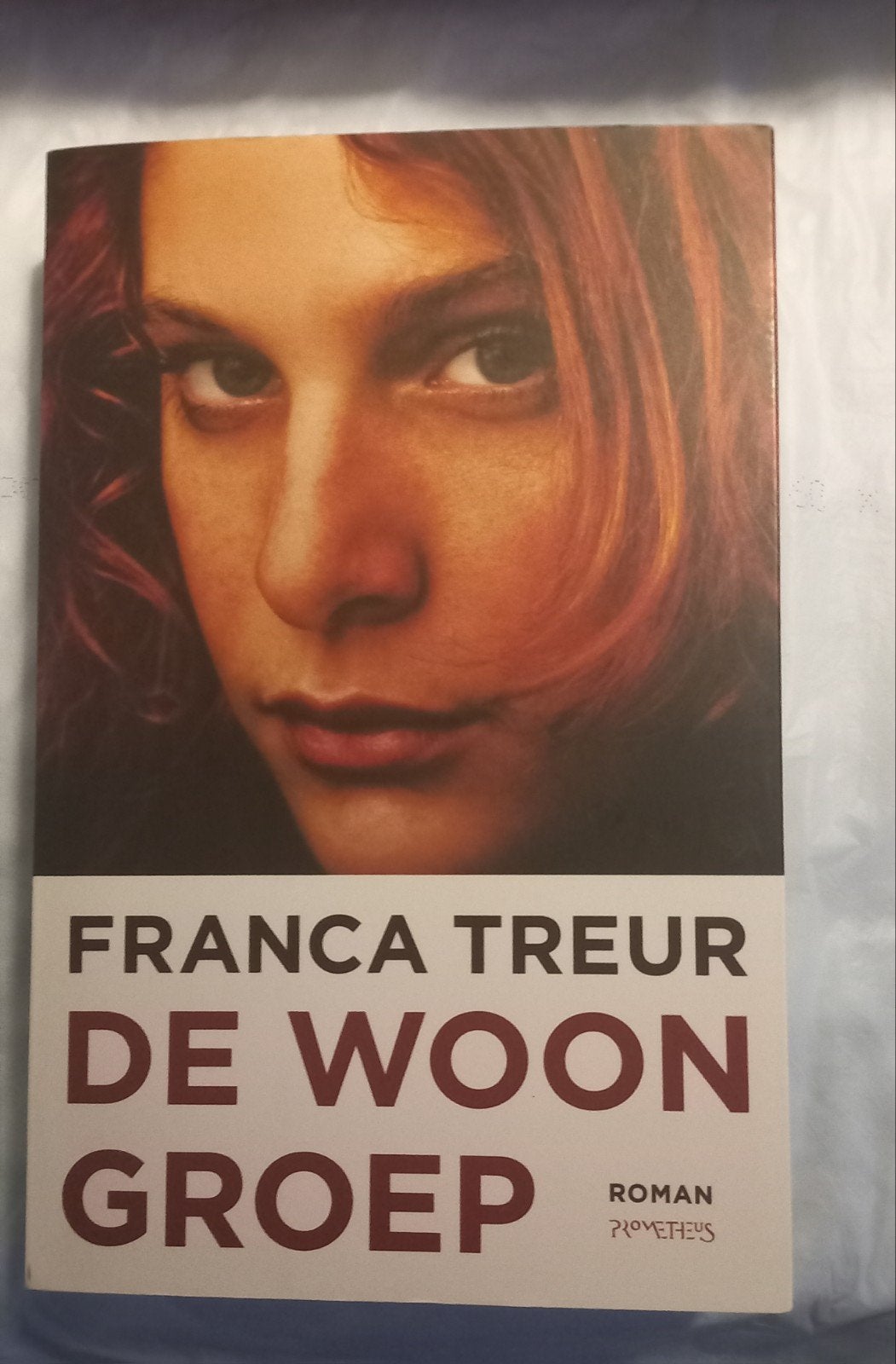 Franca Treur - De Woongroep, Ophalen of Verzenden, Gelezen