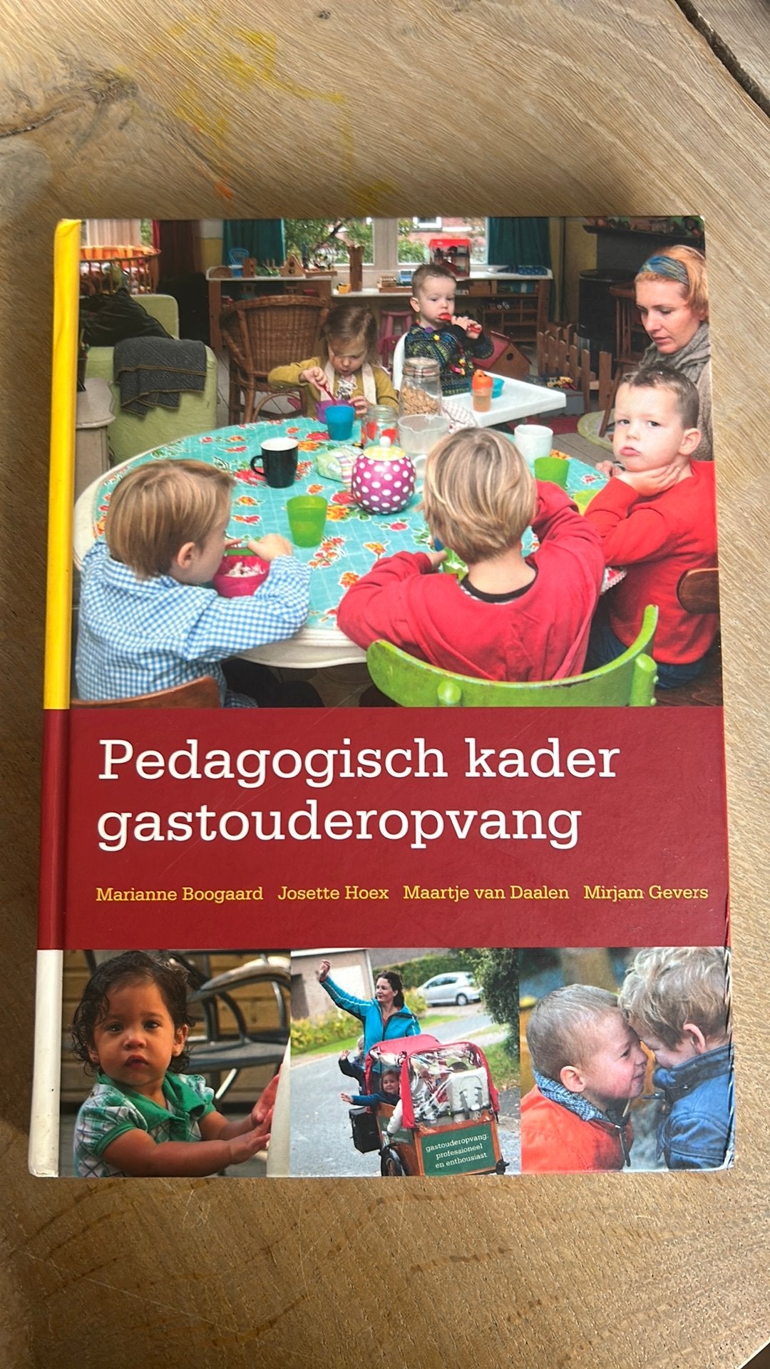 Pedagogisch kader gastouderopvang, Sociale wetenschap, Mirjam Gevers Deynoot-Schaub; Maartje van Daalen; Josette Hoe..., Ophalen of Verzenden