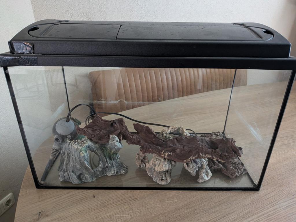 Aquarium terrarium 60cm x 30cm en 42 cm hoog.
Met toebehoren, Dieren en Toebehoren, Vissen | Aquaria en Toebehoren, Ophalen, Leeg aquarium