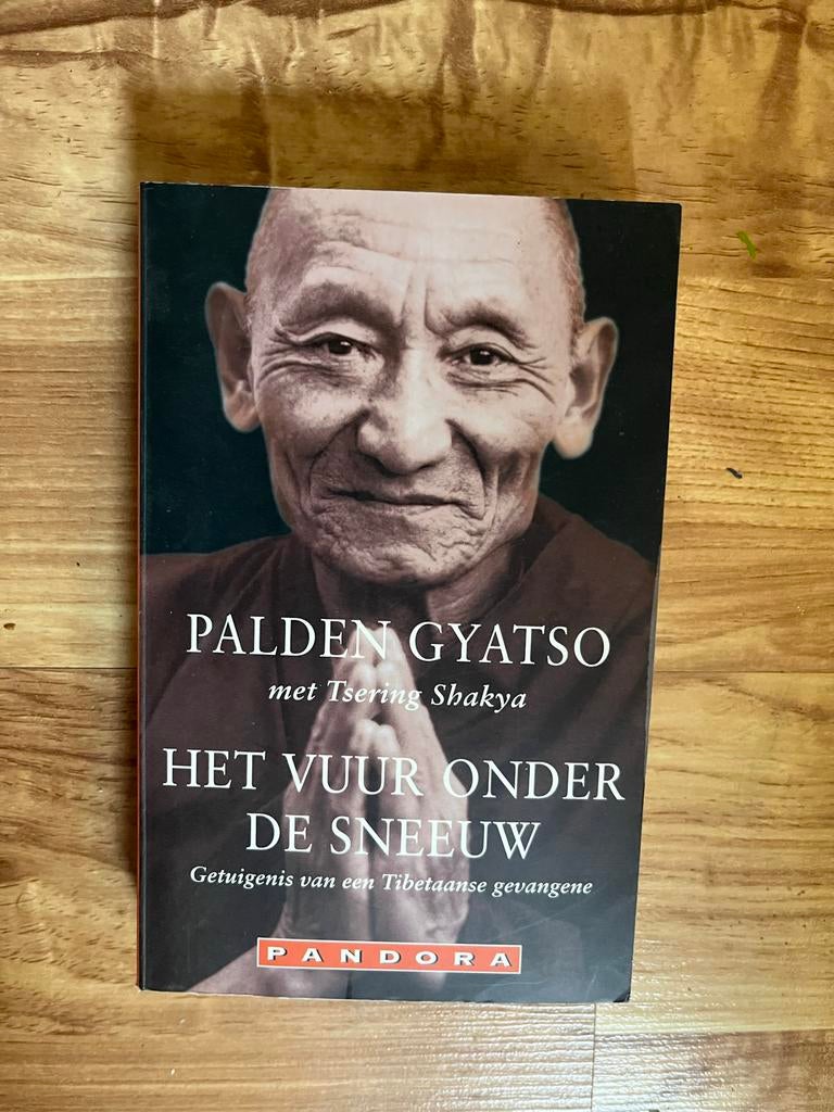 Het Vuur Onder De Sneeuw - Palden Gyatso, Ophalen of Verzenden, Gelezen, Politiek