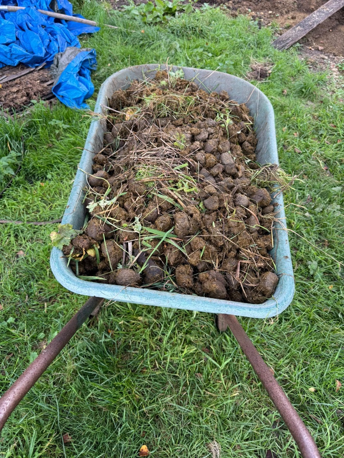 GRATIS pure paardenmest, Ophalen