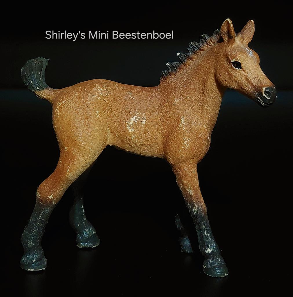 schleich quarter horse veulen, Ophalen of Verzenden, Zo goed als nieuw, Paard, Beeldje of Figuurtje
