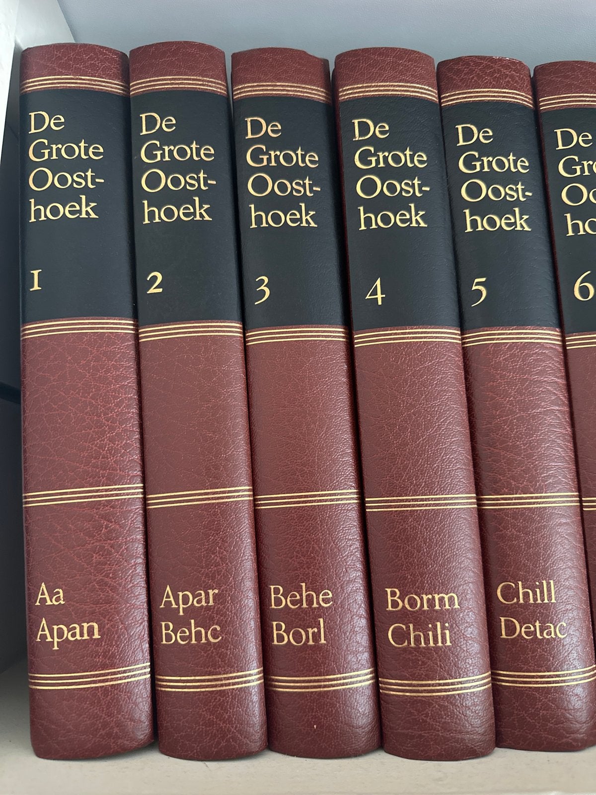 De Grote Oosthoek Encyclopedie - 21 delen, Boeken, Ophalen, Zo goed als nieuw, Algemeen, Complete serie