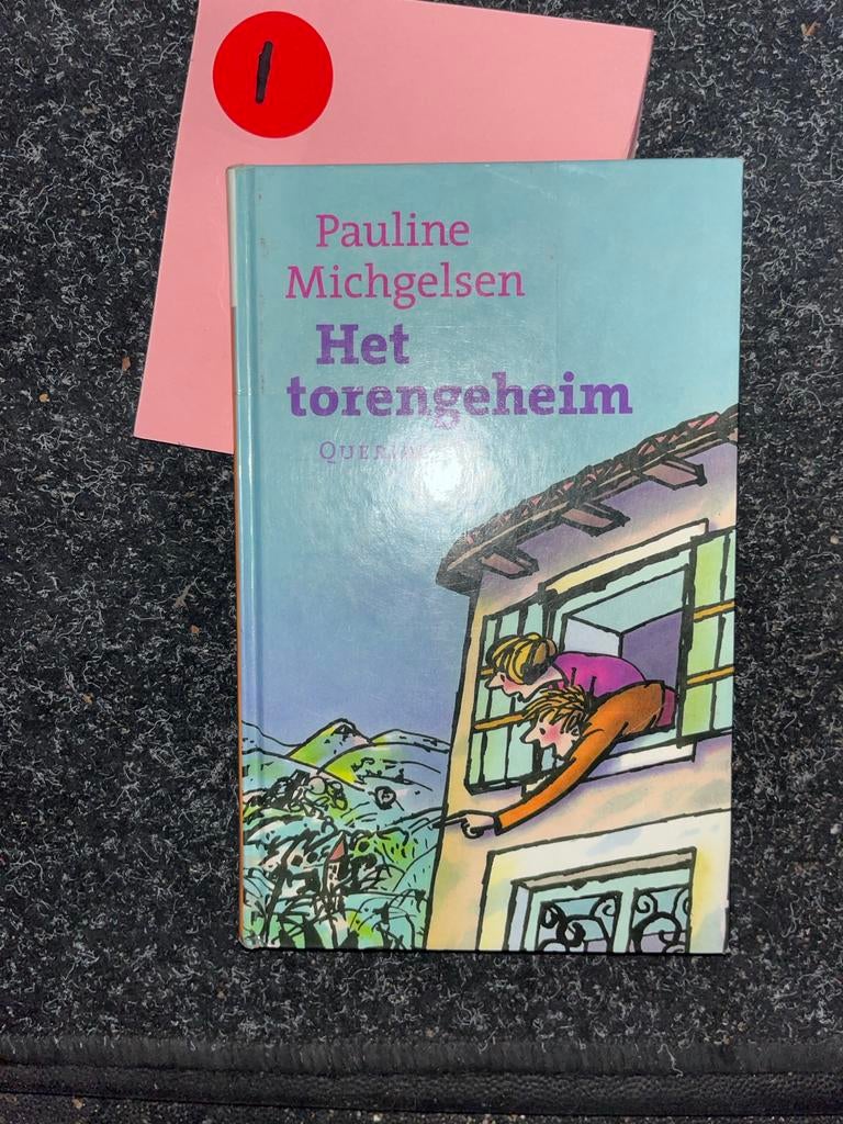 Pauline Michgelsen - Het torengeheim, Ophalen of Verzenden, Zo goed als nieuw, Fictie algemeen