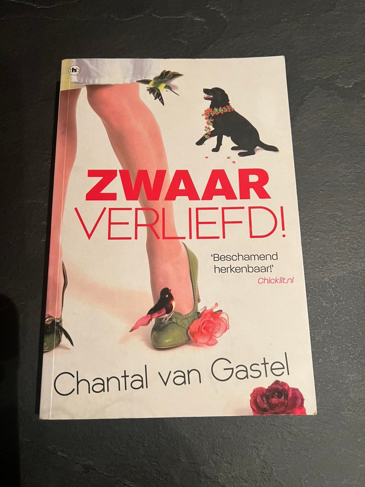 Chantal van Gastel - Zwaar verliefd, Boeken, Romans, Ophalen of Verzenden, Zo goed als nieuw, Chantal van Gastel