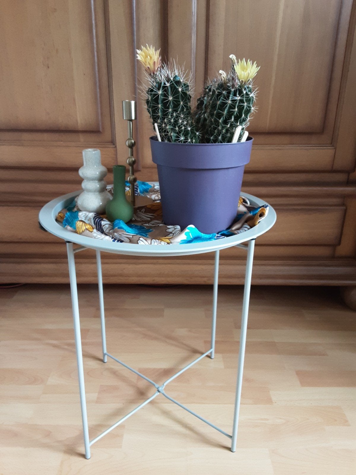 Bloeiende Cactus in Pot - Prachtige Kamerplant, Ophalen, Minder dan 100 cm, Bloeiende kamerplant, Volle zon
