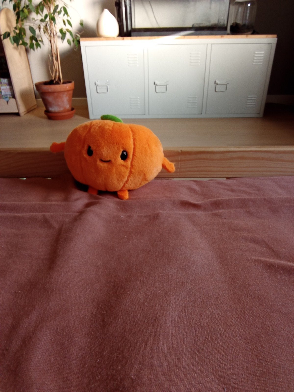Lidl mini pompoen knuffel, Lidl, Oranje, Overige karakters, Overige typen