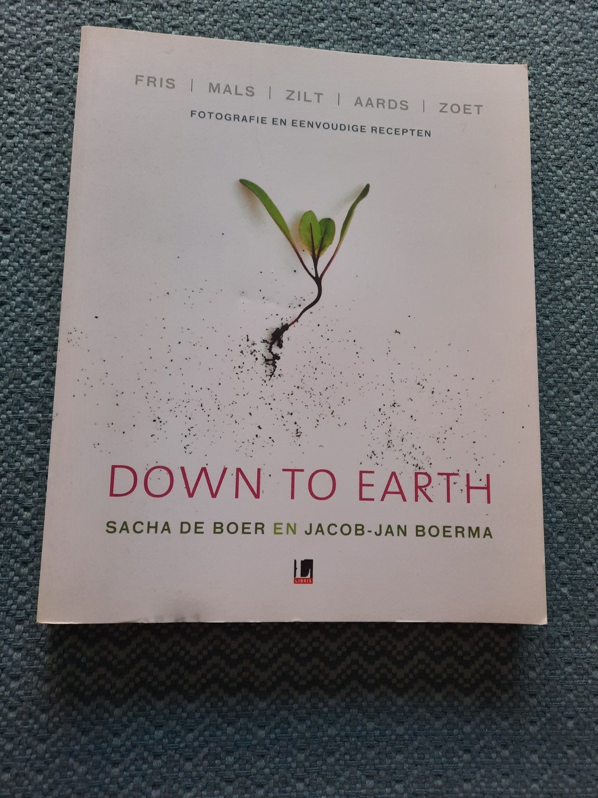 Down to Earth - Sacha de Boer & Jacob-Jan Boerma, Ophalen of Verzenden, Hoofdgerechten, Gezond koken, Overige gebieden