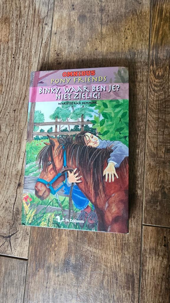 Pony friends - paardenboek - omnibus - Henriëtte Kan Hemmink, Ophalen of Verzenden, Zo goed als nieuw, Henriëtte Kan Hemmink, Fictie