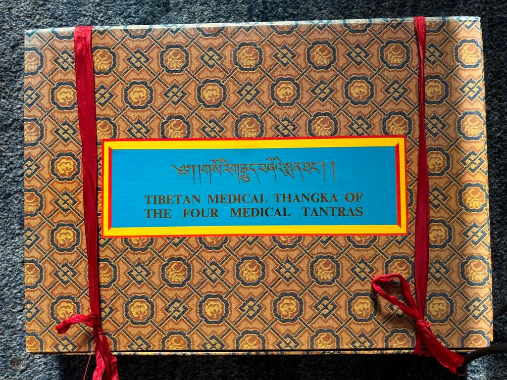 Tibetaanse Medische Thangka van de Vier Medische Tantra's, Ophalen of Verzenden, Zo goed als nieuw, Kruiden en Alternatief