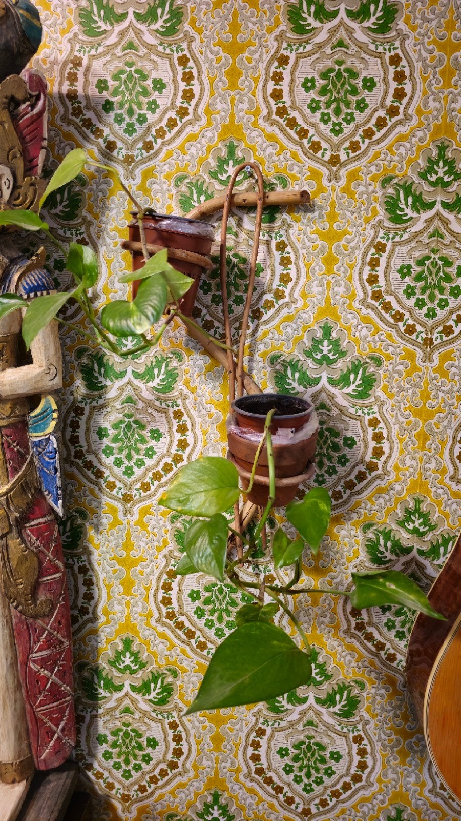 gezocht: wand plantenslang, Ophalen of Verzenden, Huis en Inrichting