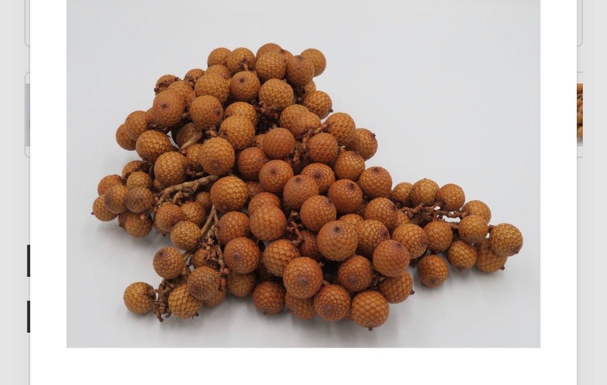Gedroogde Rattanfruit Decoratie - 500 gram, Boho, Nieuw, Ophalen of Verzenden, Natuurlijk materiaal