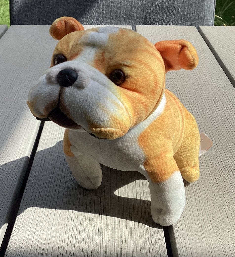 knuffel engelse buldog met bruin witte vacht, Ophalen of Verzenden, Nieuw, Hond