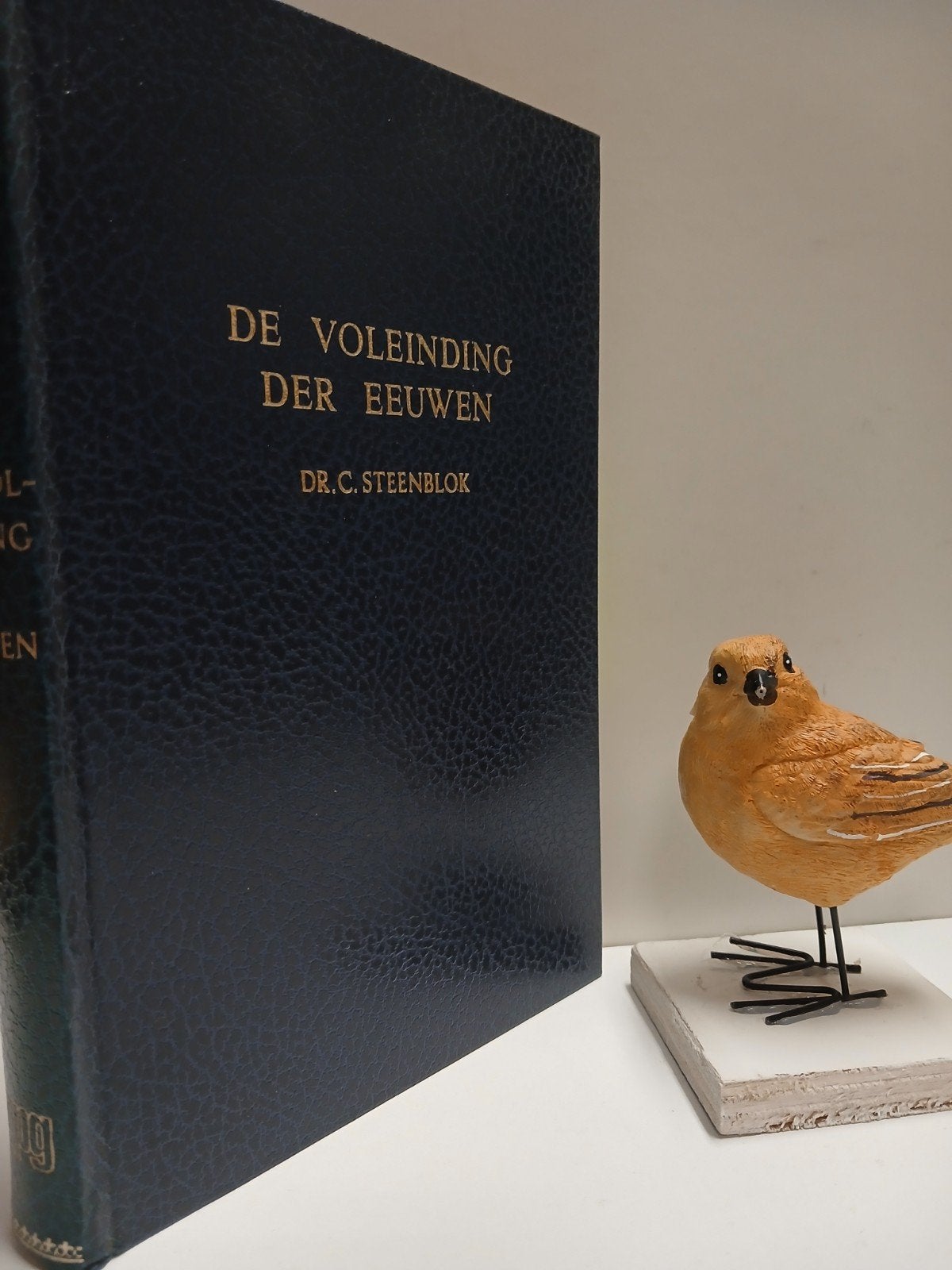 Steenblok, Dr. C.; De voleinding der eeuwen, Boeken, Ophalen of Verzenden, Gelezen, Christendom | Protestants