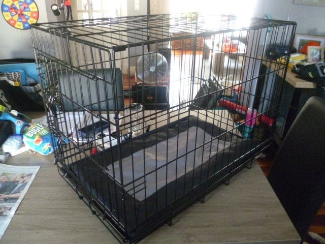 Hondenbench te koop, Ophalen, Zo goed als nieuw