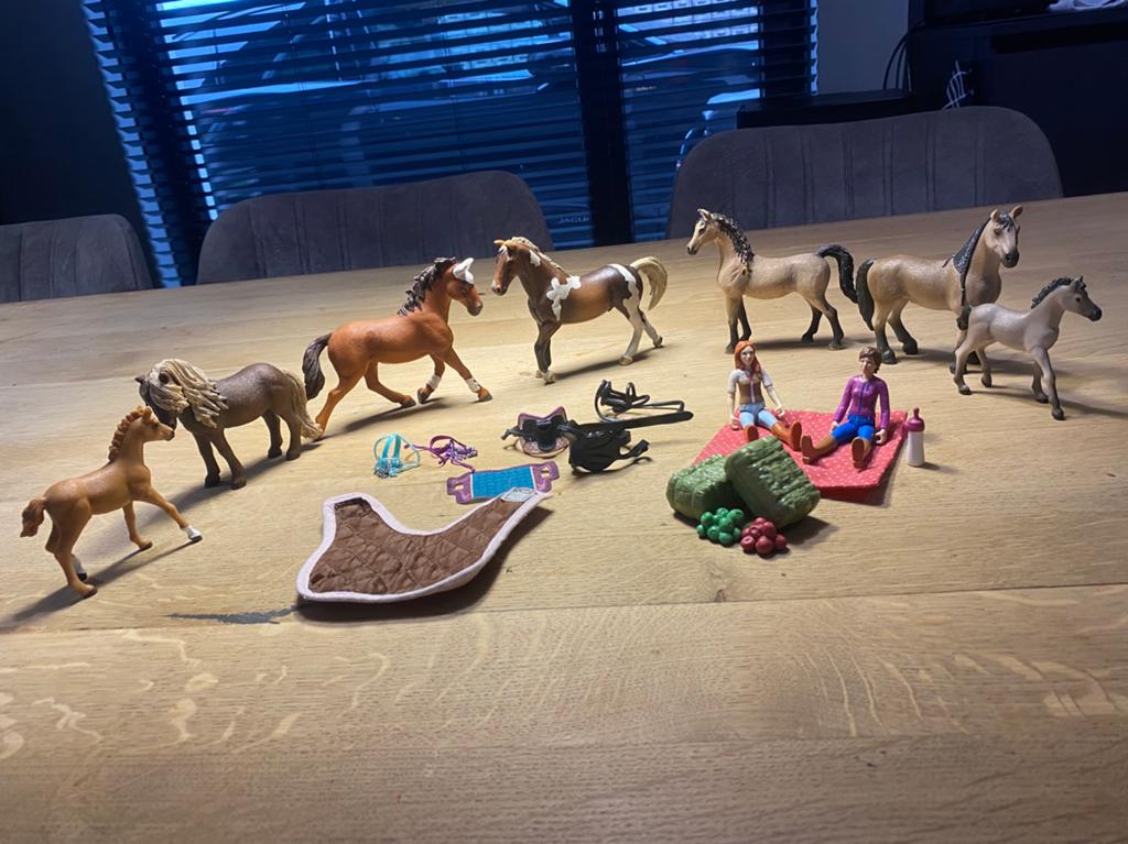 Schleich paarden + spulletjes, Ophalen of Verzenden, Zo goed als nieuw, Jongen of Meisje