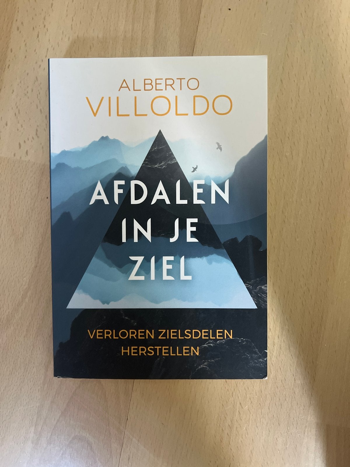 Afdaelen in je Ziel - Alberto Villoldo, Boeken, Ophalen, Zo goed als nieuw, Ziel of Sterfelijkheid, Instructieboek