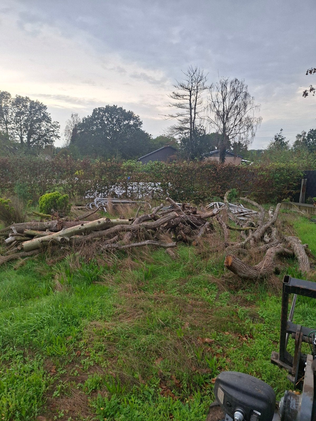 Grote partij takken en stammen voor brandhout, Tuin en Terras, 6 m³ of meer, Ophalen, Overige houtsoorten, Takken
