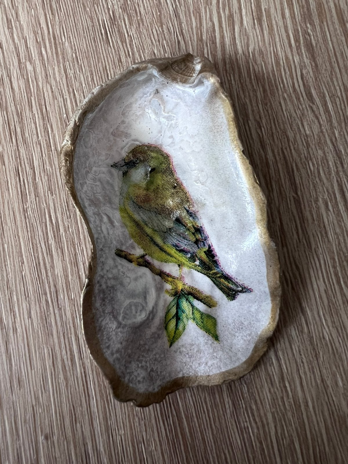 Oesterschelpje met goudvink, Verzamelen, Ophalen of Verzenden, Schelp(en)