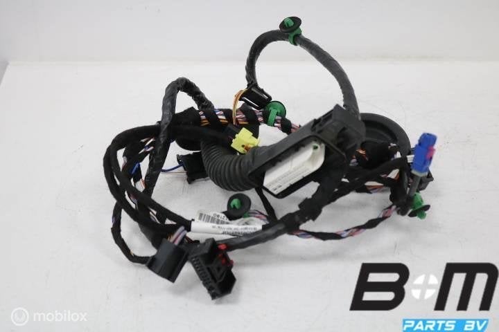 Kabelboom portier rechtsvoor VW Passat B8 3G1971121BD, Auto-onderdelen, Gebruikt
