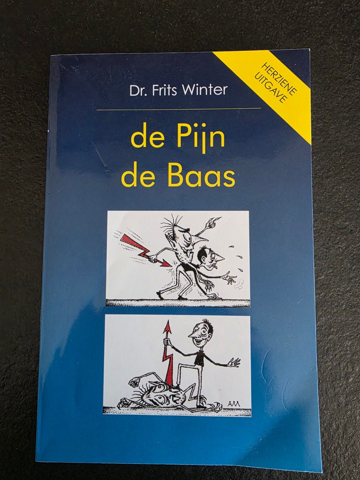 De Pijn de Baas - Dr. Frits Winter (Herziene Uitgave), Ophalen of Verzenden, Zo goed als nieuw, Dr. Frits Winter