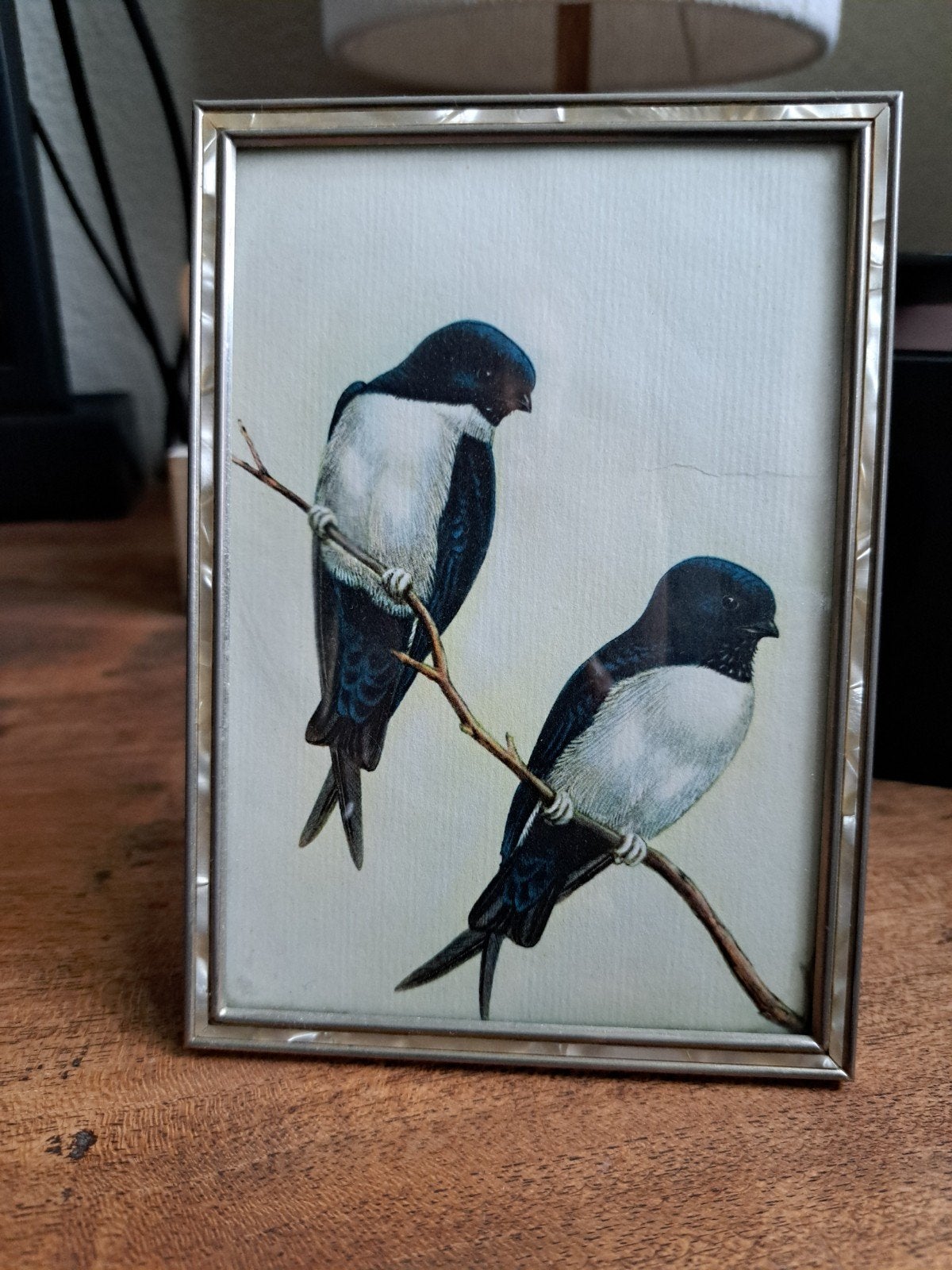 Oud fotolijstje met prent, Ophalen of Verzenden, Glas, Met afbeelding