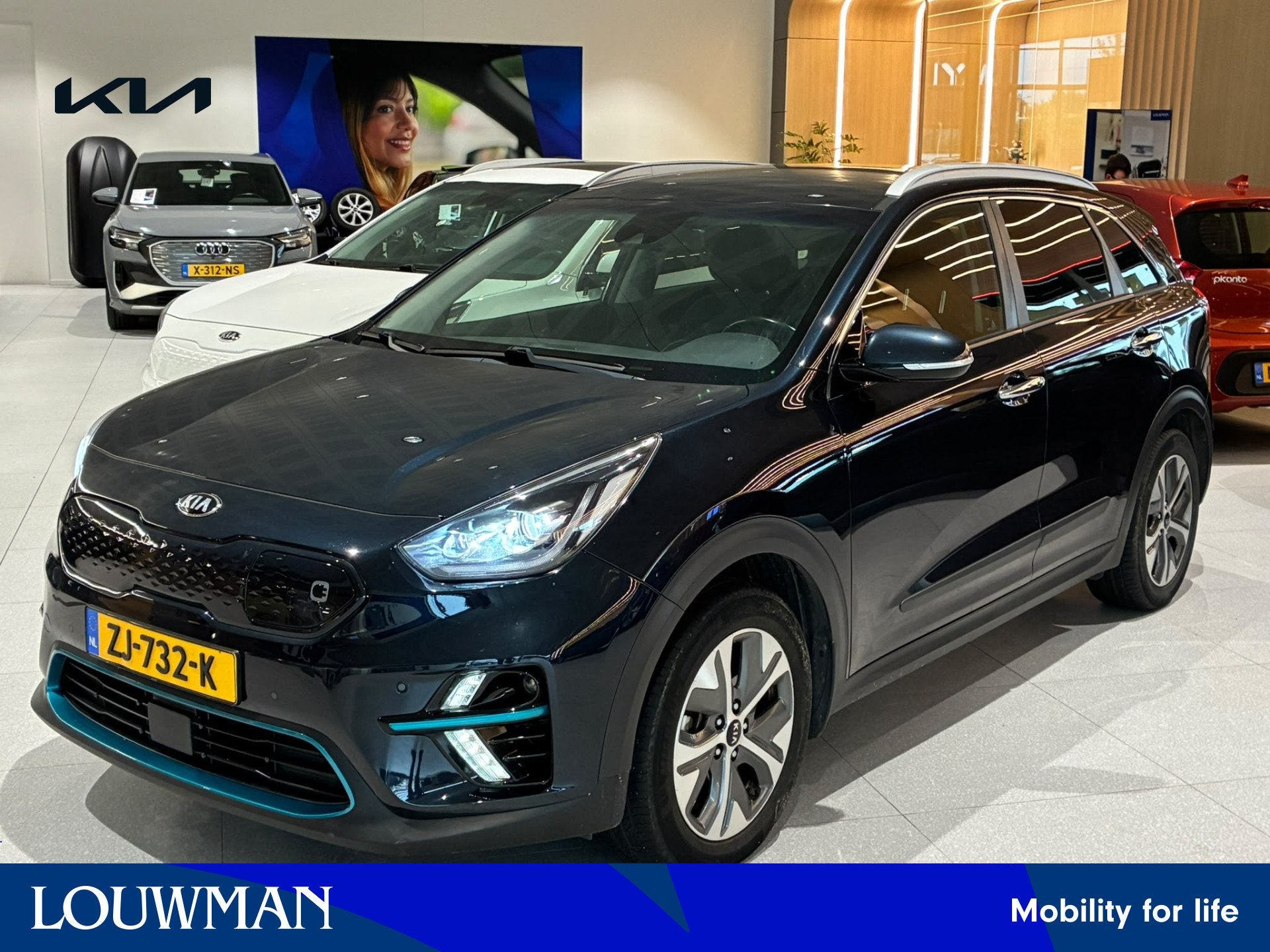 Kia e-Niro ExecutiveLine 64 kWh | SOH 93,2 % | Leder | JBL |