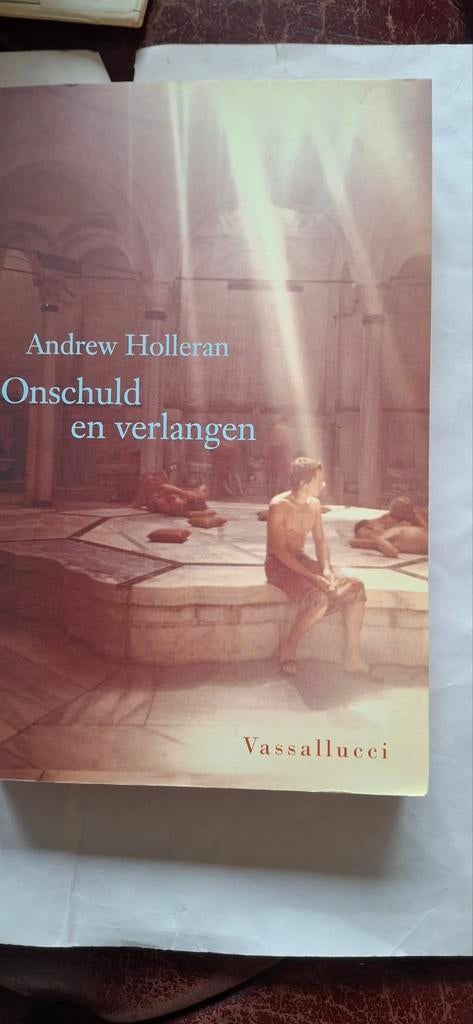Onschuld en verlangen - Andrew Holleran (Vassallucci), Ophalen of Verzenden, Zo goed als nieuw, Andrew Holleran, Amerika