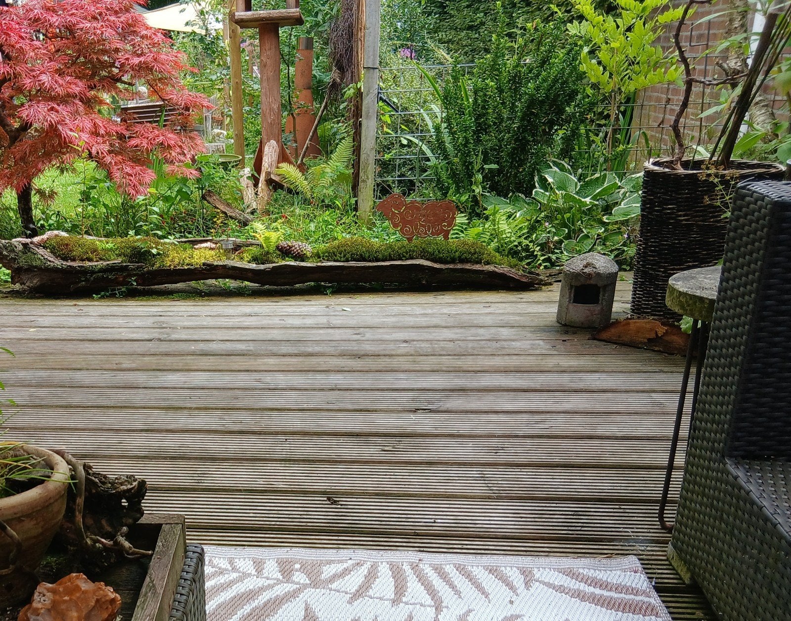 Te koop, unieke boomstam planten bak, Ophalen, Volle zon