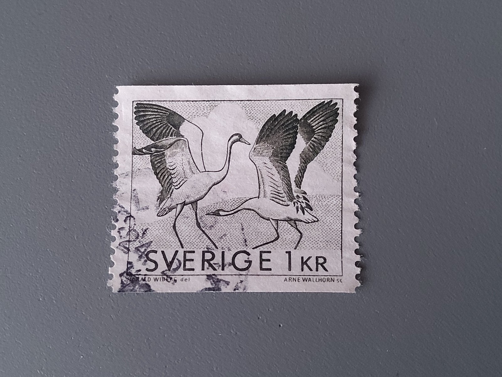 Zweden  watervogels, Ophalen of Verzenden, Dier of Natuur