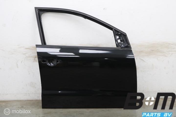 Portier RV VW Polo 6R LC9X 5drs 6R4831056J, Gebruikt
