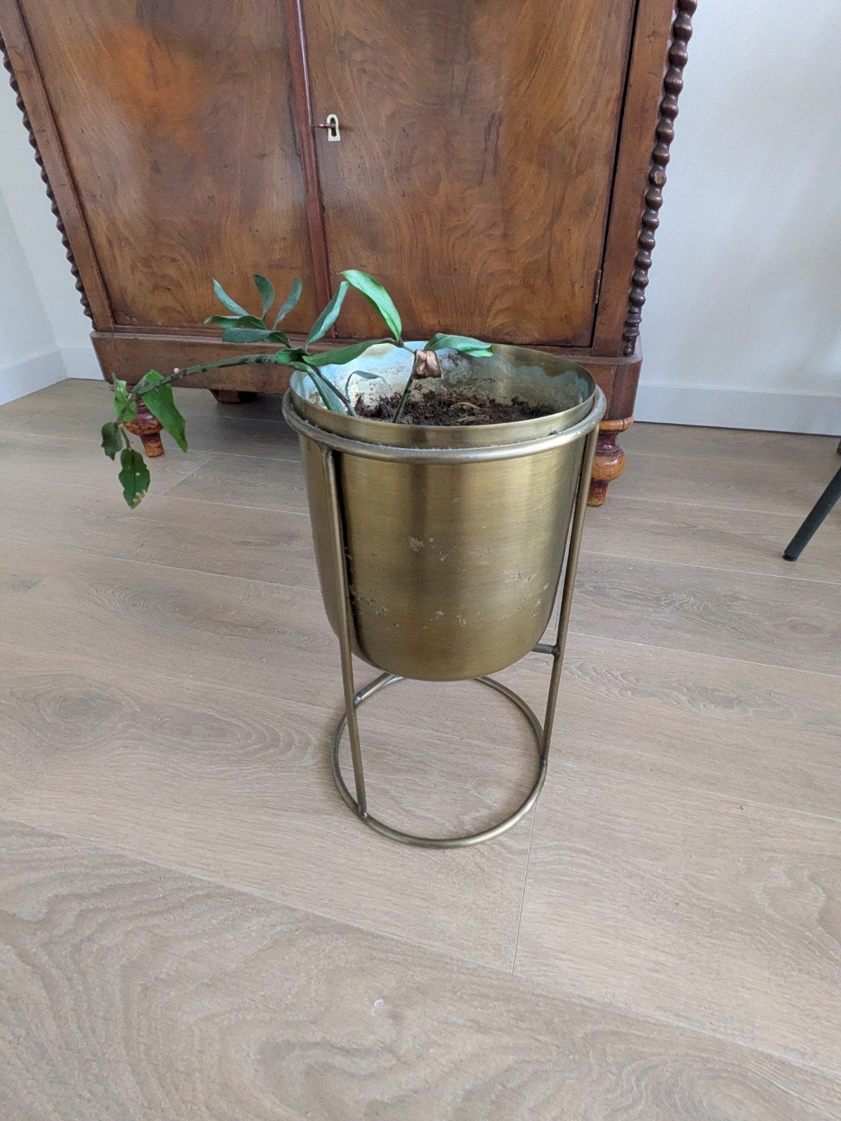 Gouden plantenbak met standaard, gebruikssporen, Ophalen, Gebruikt, Rond