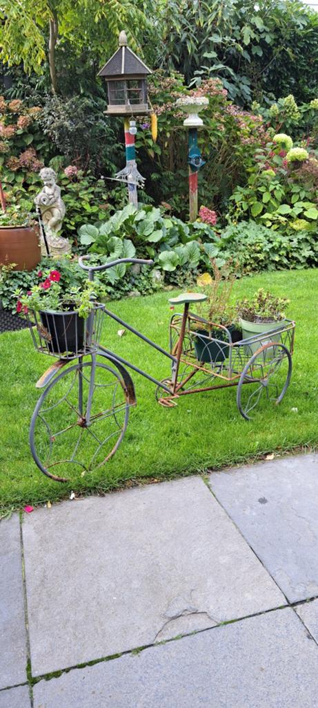 Bijzondere fietsje, Ophalen, Minder dan 30 cm, Rond, Metaal