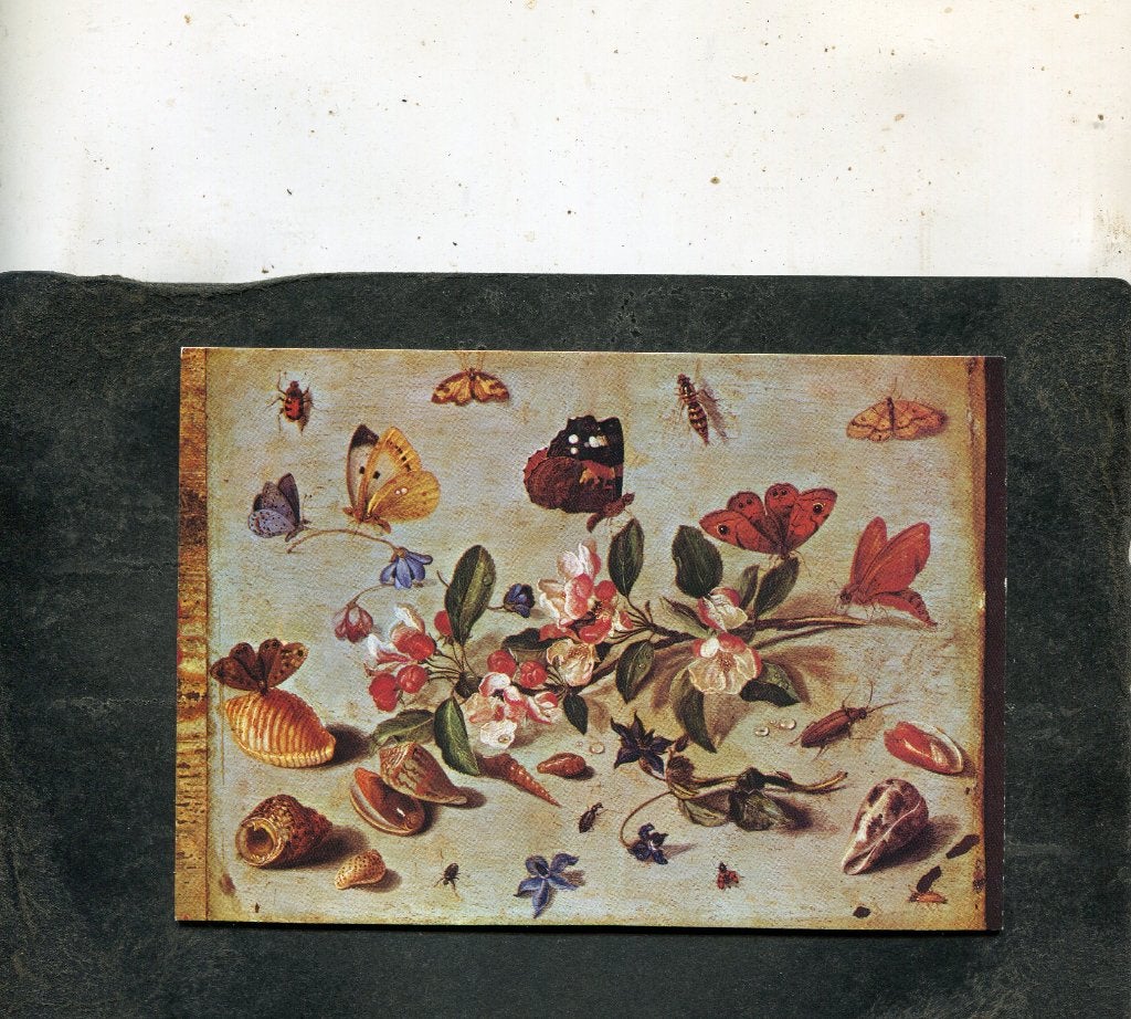 Ansicht Jan van Kessel - A study of flowers and insects, Verzenden, 1980 tot heden, Ongelopen