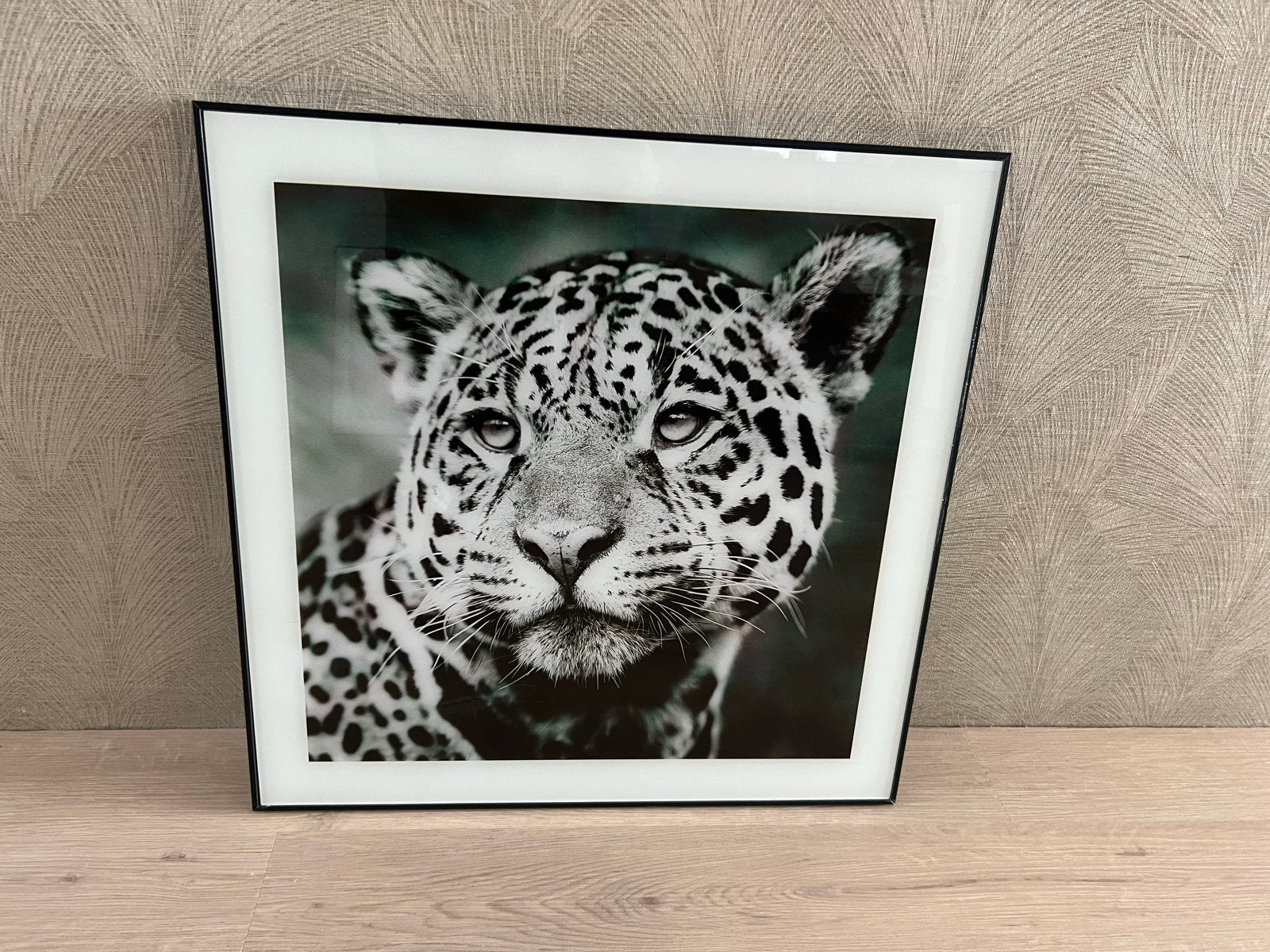 Prachtige Jaguar Print - Zwart-wit Kunst aan de Muur, Ophalen, 50 – 75, 50 tot 75 cm, Print