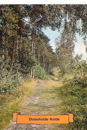 Ansichtkaart 	Rolde	Dianaheide	bospad, Verzenden, 1960 tot 1980, Gelopen, Drenthe