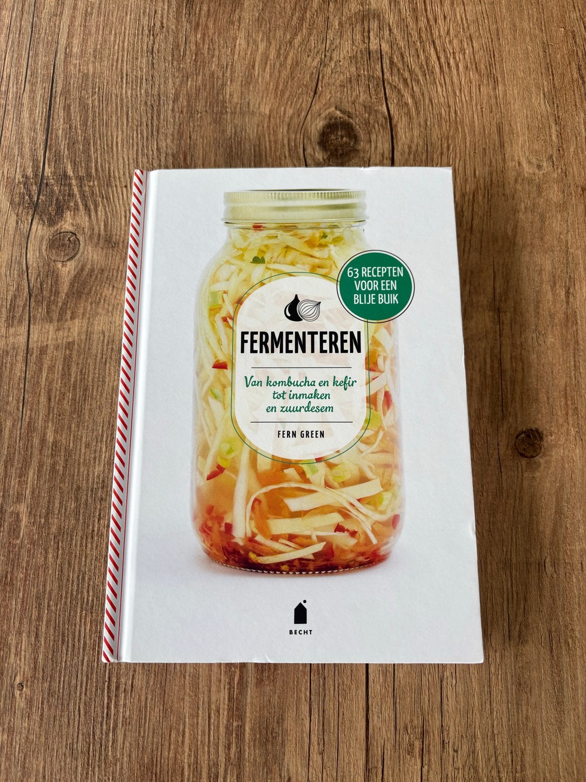 Fermenteren: Kombucha, Kefir, Inmaken & Zuurdesem - Fern Gre, Boeken, Overige typen, Ophalen of Verzenden, Zo goed als nieuw, Gezond koken