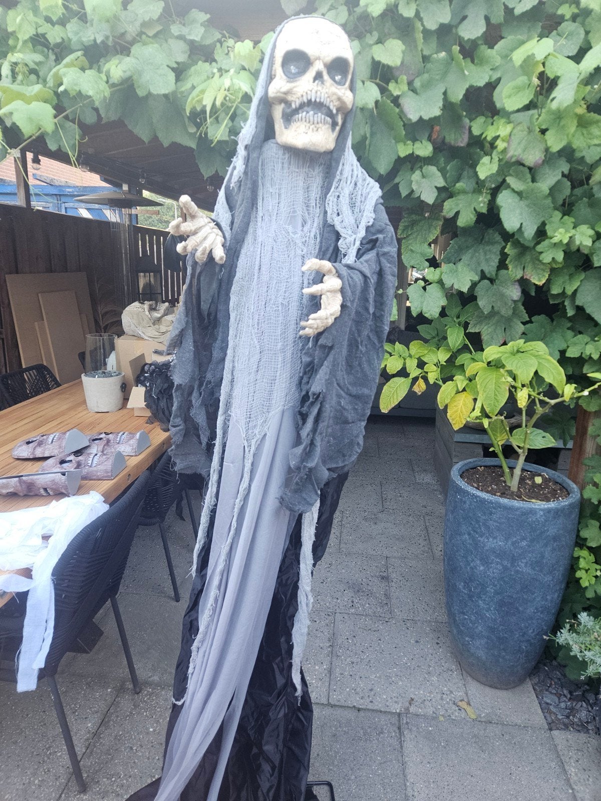 Griezelige Halloween Skelet Decoratie - Levensgroot, Ophalen of Verzenden, Gebruikt, Versiering, Halloween of Griezel