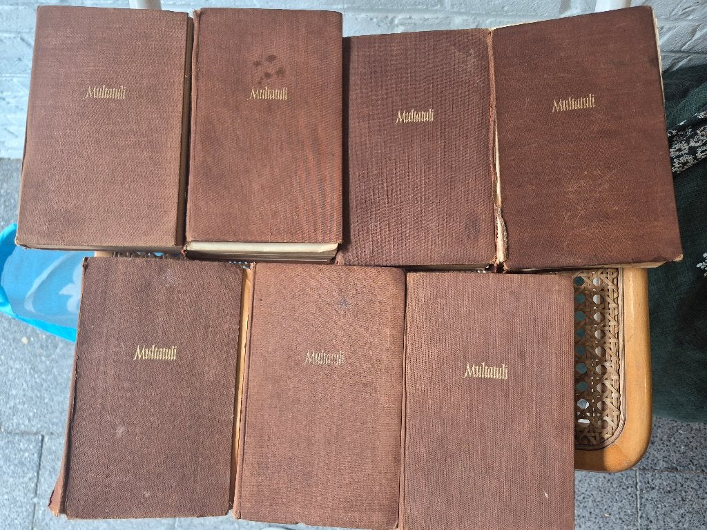 Verzameling werken van de Nederlandse schrijver Multatuli, Nederland, Eduard Douwes Dekker, Ophalen, Gelezen