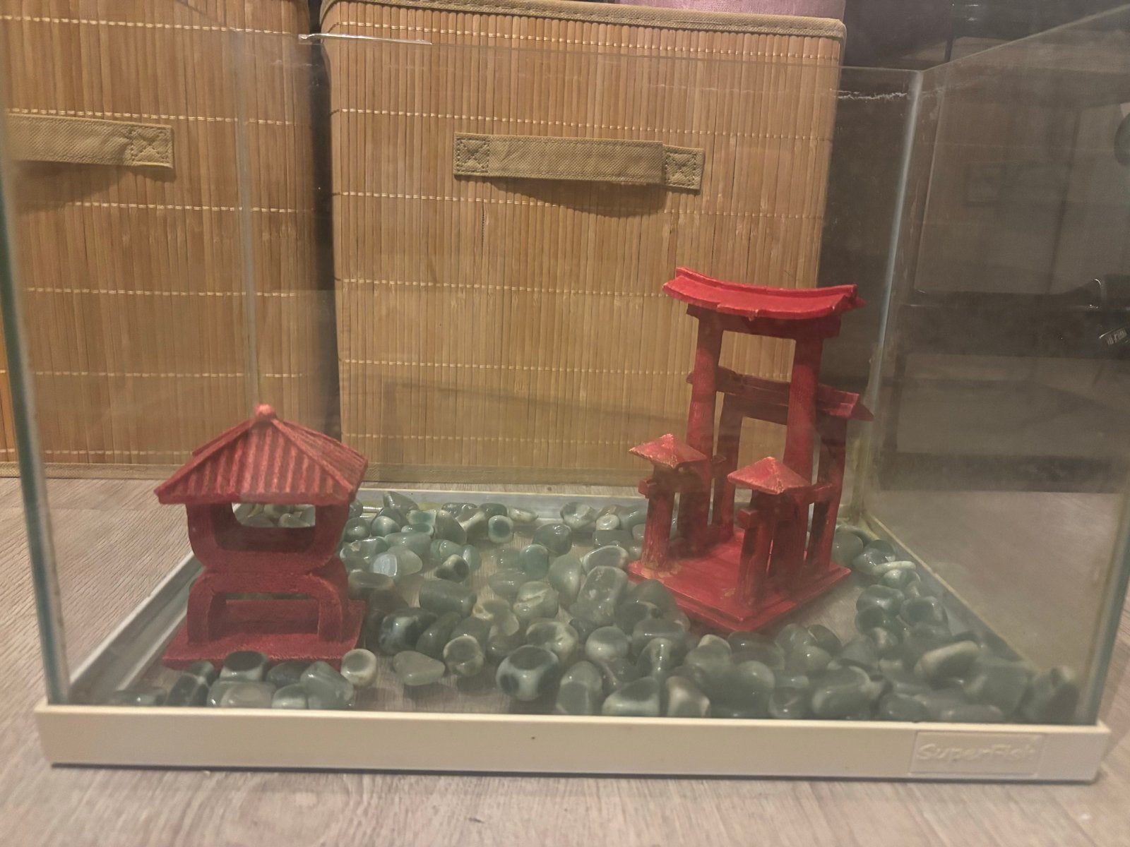 Aquarium, Dieren en Toebehoren, Ophalen, Leeg aquarium